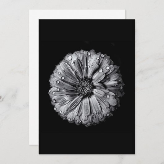 白黒の花10 (正面/裏面)