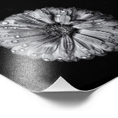 白黒の花10 フォトプリント            (角)