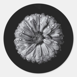 白黒の花10 ラウンドシール