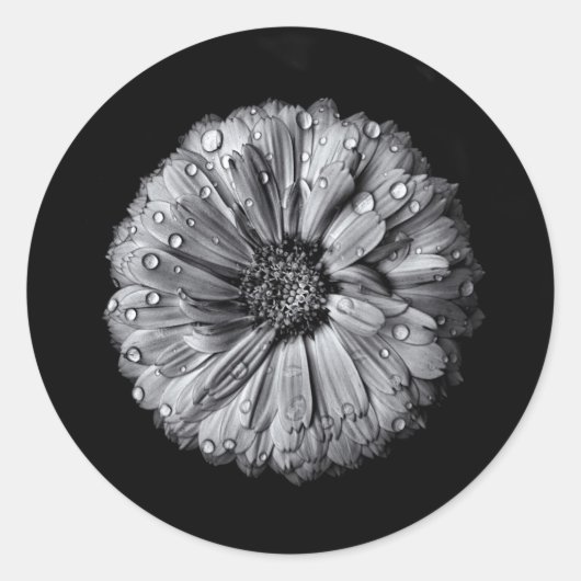 白黒の花10 ラウンドシール (正面)