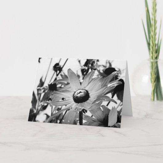 白黒の花 カード (正面)