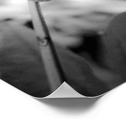 白黒の花 ポスター (角)