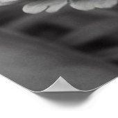 白黒の花 ポスター (角)