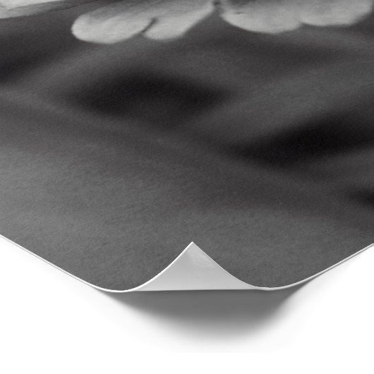 白黒の花 ポスター (角)