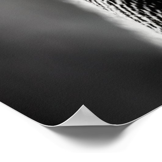 白黒の茶色のポートレートバイキング | AI Art ポスター (角)