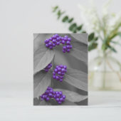 白黒の葉の紫の果実 ポストカード (スタンド正面)