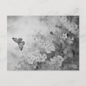白黒の蝶 ポストカード (正面)