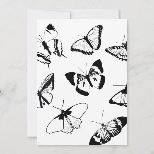 白黒の蝶 招待状 (裏面)