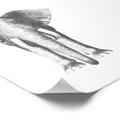 白黒の象 ポスター (角)