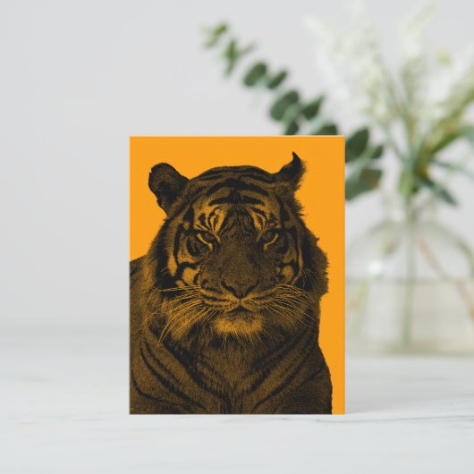 白黒の野虎 招待状 (スタンド正面)