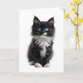 白黒の長毛の猫の青い目空白の カード (黄色い花)