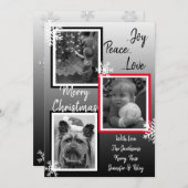 白黒の雪の結晶の家族の写真クリスマス 招待状 (正面/裏面)