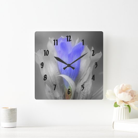 白黒の青いゲンチアンの花 スクエア壁時計 (ホーム)