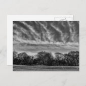 白黒の風景写真 – セントラルパーク ポストカード (正面/裏面)