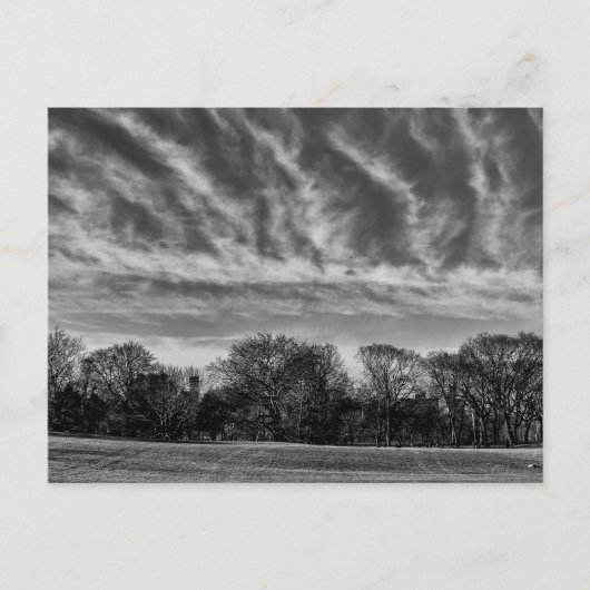 白黒の風景写真 – セントラルパーク ポストカード (正面)