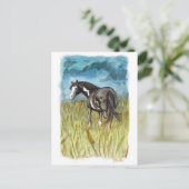 白黒の馬の絵を描水色アート ポストカード (スタンド正面)