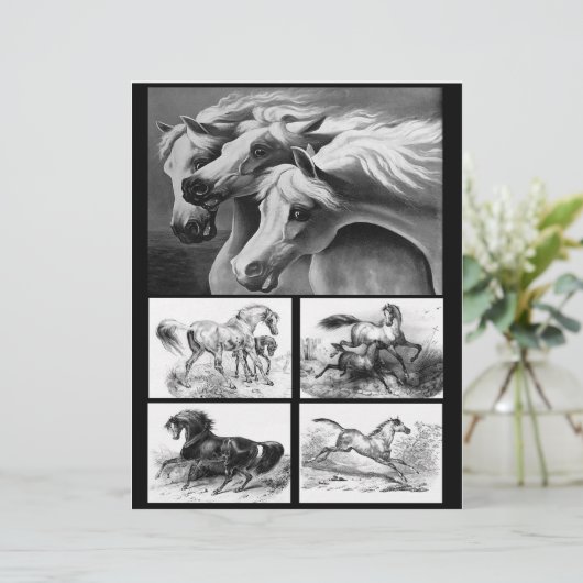 白黒の馬アートによる紙制作 (スタンド正面)