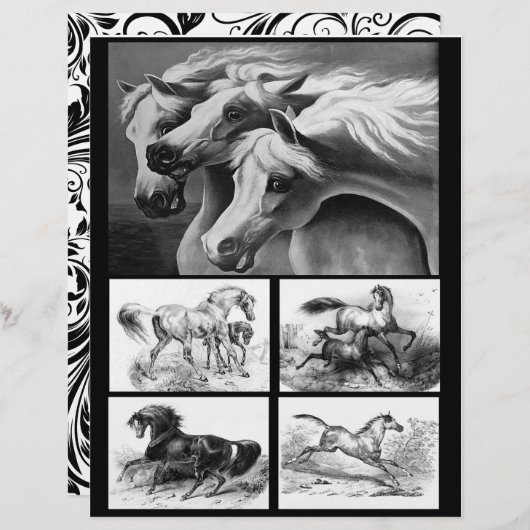 白黒の馬アートによる紙制作 (正面/裏面)