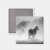 白黒の馬ランニングの写真アートワーク マグネット (正面/裏面)