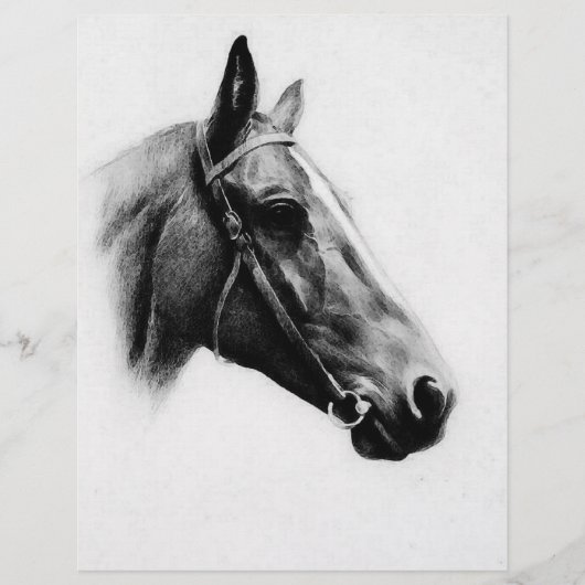 白黒の馬 チラシ (正面)