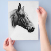白黒の馬 チラシ (手)