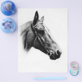 白黒の馬 チラシ (シングル)