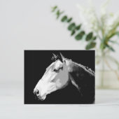 白黒の馬 ポストカード (スタンド正面)