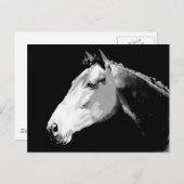 白黒の馬 ポストカード (正面/裏面)