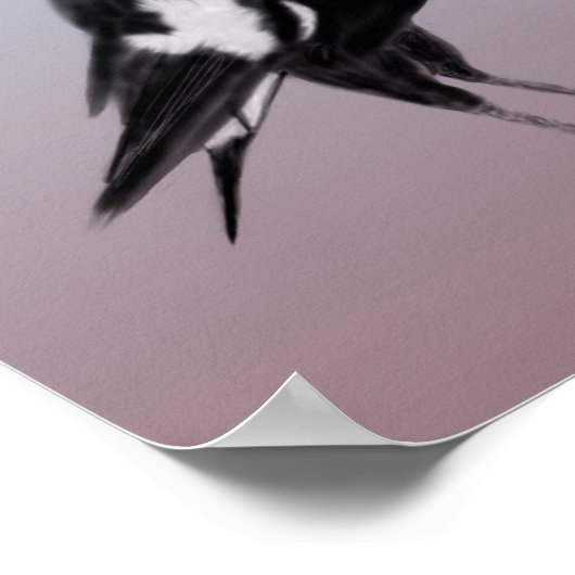 白黒の鳥 ポスター (角)