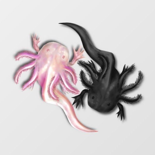 白黒のAxolotlsアート ウィンドウサイン (シート)