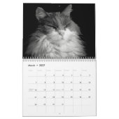 白黒のDJの猫のスタイル カレンダー (3月 2027)