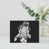 白黒のGirafポートレート、動物写真 ポストカード (スタンド正面)