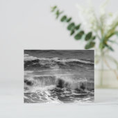 白黒はがきの繊細なカール波 ポストカード (スタンド正面)