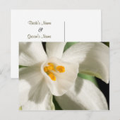 白黒はがきを保存する 案内ポストカード (正面/裏面)