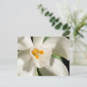 白黒はがきを保存する 案内ポストカード (スタンド正面)