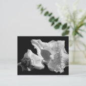 白黒はがき内にコピー ポストカード (スタンド正面)