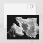 白黒はがき内にコピー ポストカード (正面/裏面)