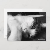 白黒はがき ポストカード (正面/裏面)