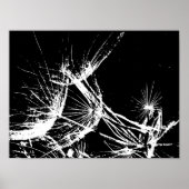 白黒ひげ ポスター (正面)