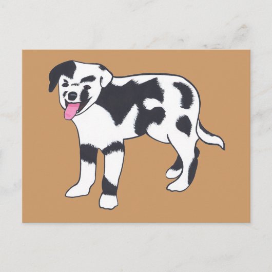 白黒まだら模様の犬はがき ポストカード (正面)