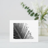 白黒やし ポストカード (スタンド正面)