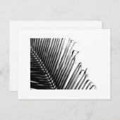 白黒やし ポストカード (正面/裏面)