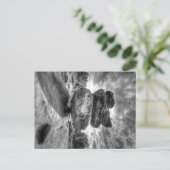 白黒アイドルロック写真ポストカードブリムハム ポストカード (スタンド正面)