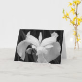 白黒アイリス カード (黄色い花)