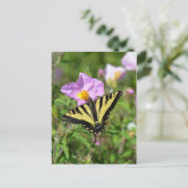 白黒アゲハチョウ蝶はがき ポストカード (スタンド正面)