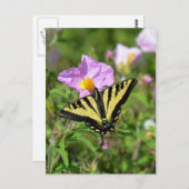 白黒アゲハチョウ蝶はがき ポストカード (正面/裏面)