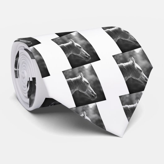 白黒アトポップ・アートのールホース ネクタイ (ロール)