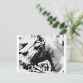白黒アトポップ・アートのールホース ポストカード (スタンド正面)