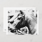 白黒アトポップ・アートのールホース ポストカード (正面/裏面)