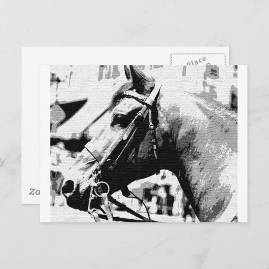 白黒アトポップ・アートのールホース ポストカード (正面/裏面)
